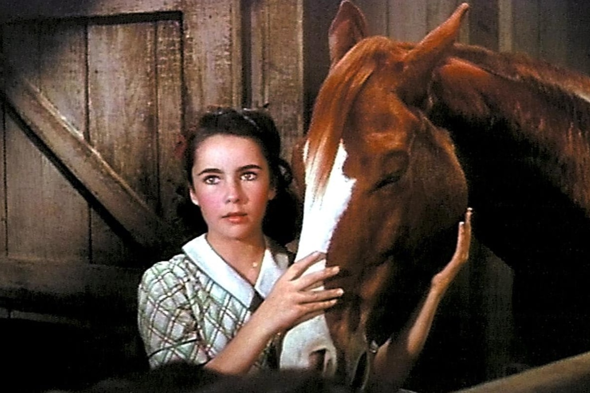 National Velvet 1200x800